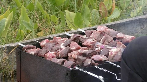 Man grills meat on the grill Stock Footage 164946744