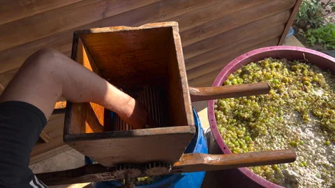 A man grinds grapes for wine Stock Footage 251640795