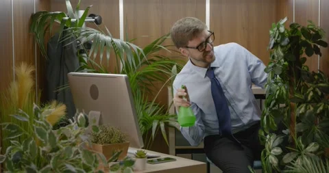 Man growing plants in his small office Stock Footage 309000509