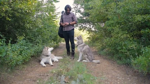 Man with guitar playing with two siberian husky dogs in forest 스톡 동영상 84328934