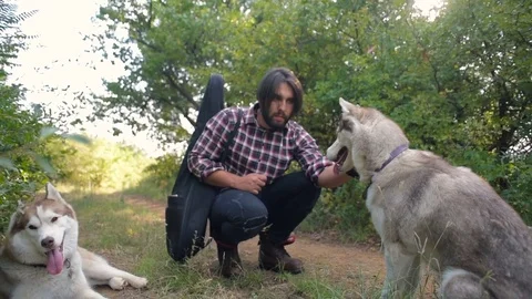 Man with guitar playing with two siberian husky dogs in forest Stock Footage 84332863