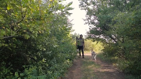 Man with guitar playing with two siberian husky dogs in forest 库存影片 84333656