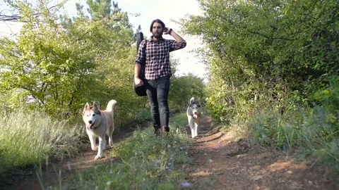 Man with guitar playing with two siberian husky dogs in forest Stockbeeldmateriaal 84374035