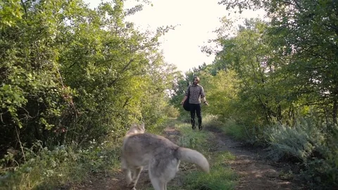 Man with guitar playing with two siberian husky dogs in forest 库存影片 84376055