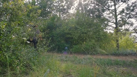 Man with guitar walking in forest 動画素材 84327693