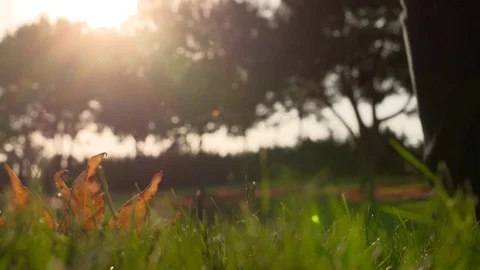 A man with guitar is walking Slow motion in nature - forest in Istanbul / Turkey 動画素材 77961253