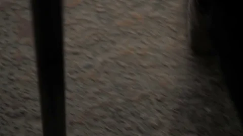 Man with a gun close-up Stock Footage 71542388