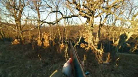 Man with a Gun Stock Footage