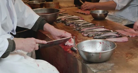 Man guts and fillets live eels Stock-Footage 107809176