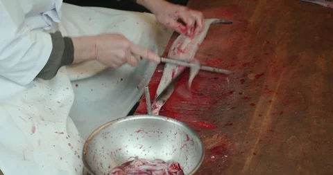 Man guts and fillets live eels Stock-Footage 107817481