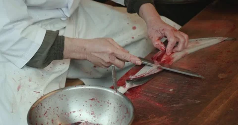 Man guts and fillets live eels Stock-Footage 107820190