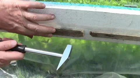 A man, hammering the nail Stock Footage 24696077