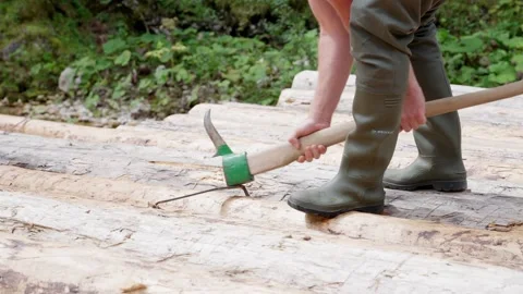 A man hammering a nail into logs with an axe, slow motion Stock Footage 317728217