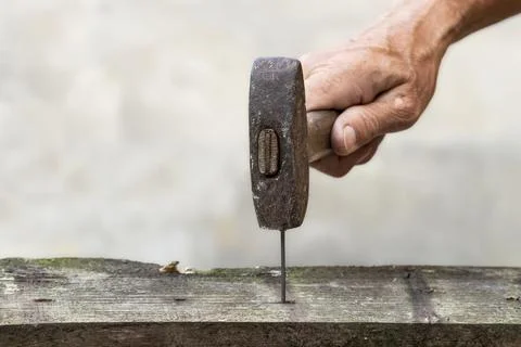 A man hammers nails with an old rusty hammer.Repairs and spring cleaning in t Stock Photos
