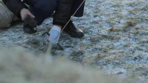 A man hammers a peg into the ground, there is frost on the ground Stock Footage 275333594
