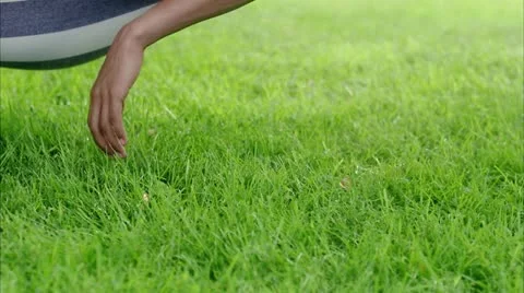 Man in a hammock Stock Footage 11340872