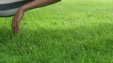 Man in a hammock Stock Footage 11340873