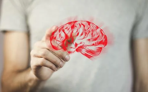 Man hand brain Stock Photos