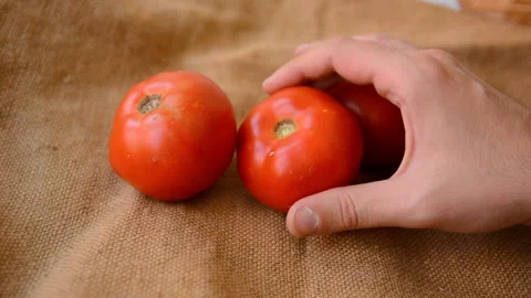 Man hand checks the quality of red tomato on retro woven background Stock Footage 137326198