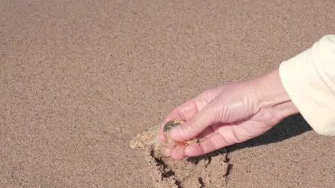 Man hand digs up bitcoin lost on the seashore and takes it for itself. closeup. Video stock 251948061