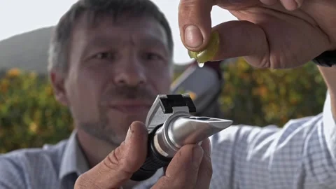 Man with a hand-held refractometer squeezes a drop of juice from a grape Stock Footage 270064994