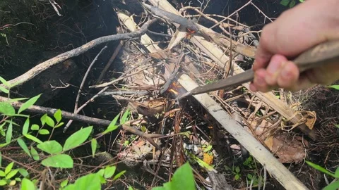 Man hand with long stick adjusts firewood on pit closeup Stock Footage 308917583