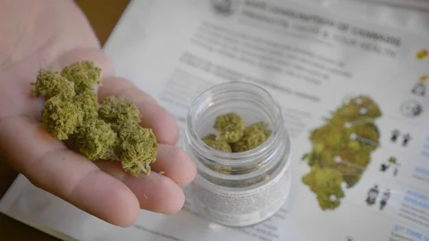 A man hand marijuana buds Video stock 91800920