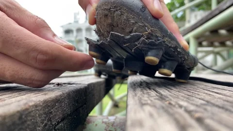 Man hand pick up worn off soccer cleats soles. Outdoor football field summer Stock Footage 287681710