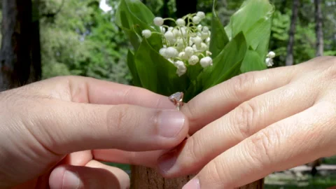 Man hand putting engagement ring on woman finger Stock-Footage 197645343