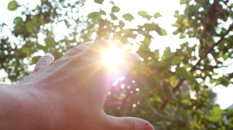 Man Hand Reach To The Sun Stock-Footage 40637693