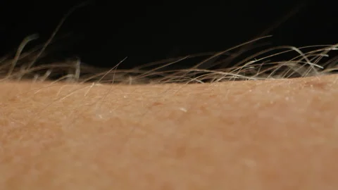 Man hand skin texture close-up, hair. Arm surface macro shooting. Body and Stock Footage 257089499