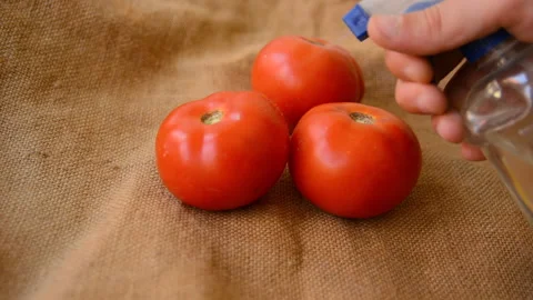 Man hand spraying with freshwater red tomatoes on a retro woven background Stock Footage 137326286