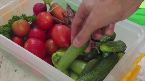 Man hand take fresh pepper tomato cucumber  from plastic food box container Stock Footage 245501393