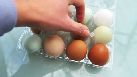 Man hand taking multicolored heirloom fresh chicken eggs from crate package Stock Footage 164676384