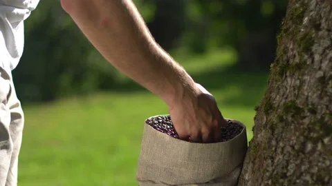 Man hand touching roasted coffee beans to check quality. Stock Footage 103599981