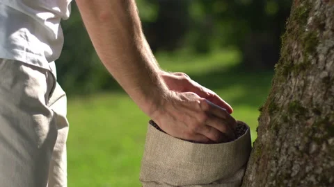 Man hand touching roasted coffee beans to check quality. Video stock 103601241
