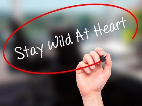 Man Hand writing Stay Wild At Heart with black marker Stock Photos