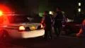 Man In Handcuffs Hauled Off By Police Outside Nightclub 4K 4k or 4k+ Resolution