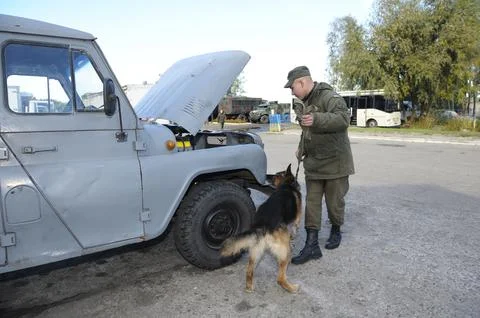 Man handler and her army dog German shepherd conducting search of a suspect.. Stock Photos