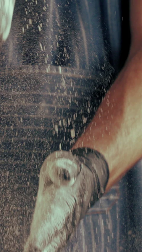Man, hands and baker with flour dust for cooking, preparation or ingredients in Stock Footage 340451389