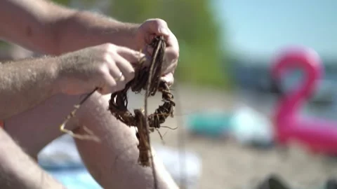 Man hands on the beach crafting a chain of circles from twisted roots and vines Stock Footage 341989227