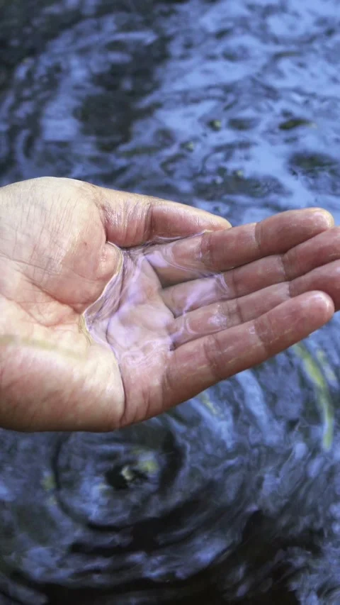 Man hands catching water 库存影片 335240925