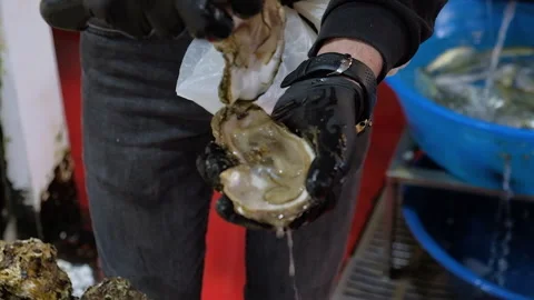 Man hands cleans and opens oysters with special knife at seafood market Stock Footage 245605656