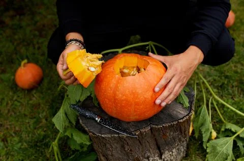 Man hands cut pumpkin, open before carving for Halloween Stock Photos