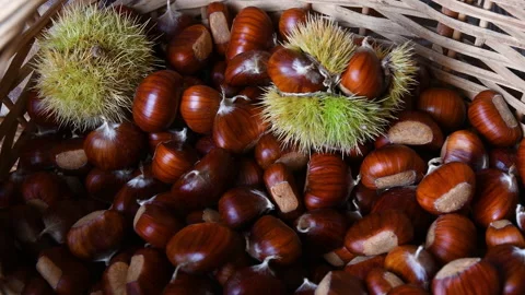 Man hands dropping chestnuts inside a wicker basket Stock Footage 163348119