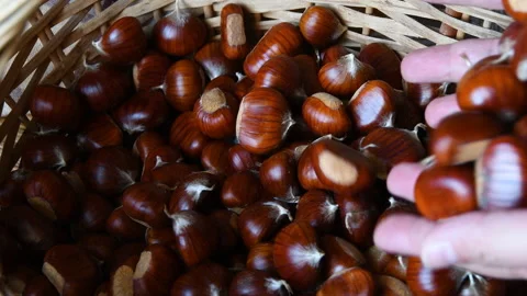 Man hands dropping chestnuts inside a wicker basket Video stock 164299742