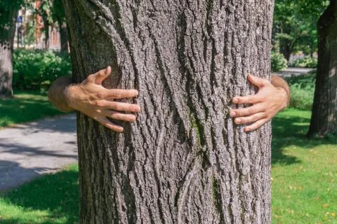 Man hands embracing trunk of tree Stock Photos