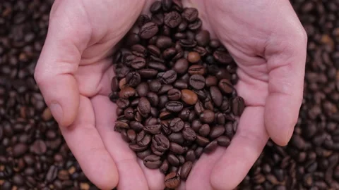 Man hands grabbing coffee beans slow motion 4k Stock Footage 150603906