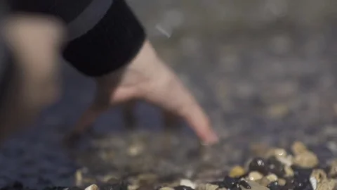 Man Hands Holding And Relase Small Stones In Hands On Beach Stone Background Stock Footage 80385974