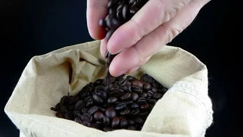 Man hands holding coffee beans in canvas sack and some falling down Stock Footage 78130937